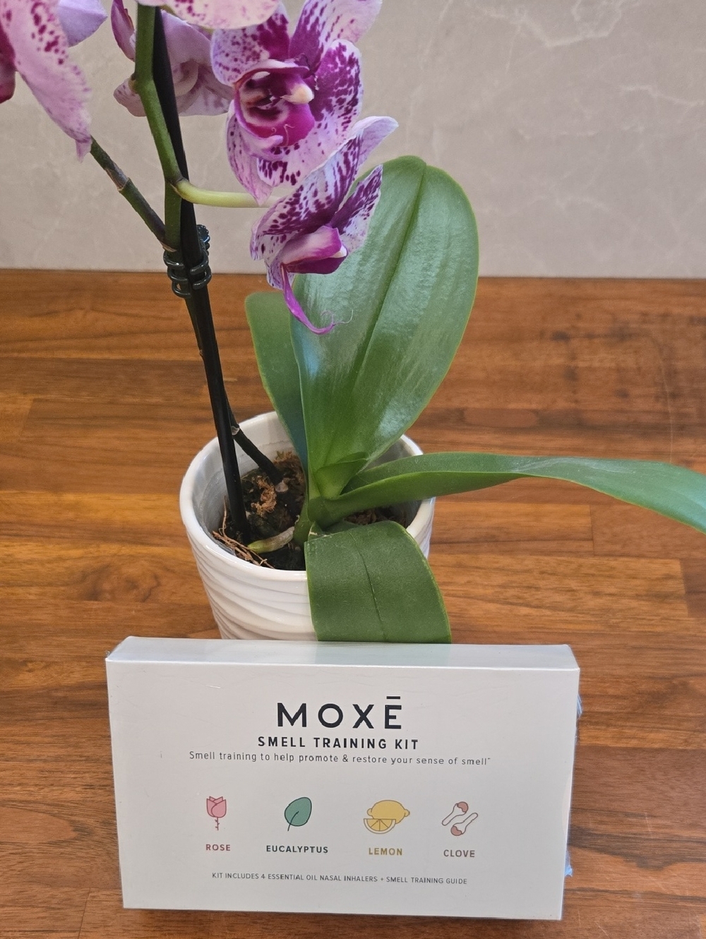 MOXĒ Smell Training Kit – 100% Pure Essential Oil Nasal Inhalers